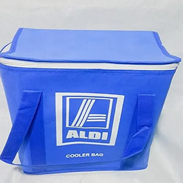 سعر ومواصفات شنطة غداء حرارية مبطنة للحفاظ على الحرارة، متعدد الألوان (B0CKY6WSX5) على Amazon EG