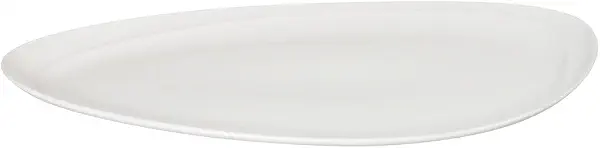 سعر ومواصفات طبق بيضاوي من رويال بورسلين مقاس (L) 23.5×41 سم (B0968WVFY7) على Amazon EG