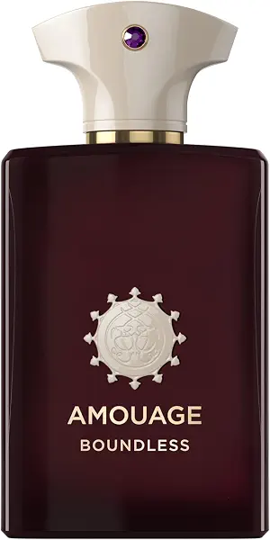 سعر ومواصفات عطر باوندليس او دو برفان من امواج، 100 مل (B0CW9MJHBD) على Amazon EG