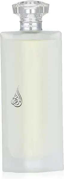 سعر ومواصفات عطر سبايسي R077 ون مليون باكو رابان جلود او دو بارفان للرجال من ماء الذهب، 100 مل (B0CFW47F6X) على Amazon EG