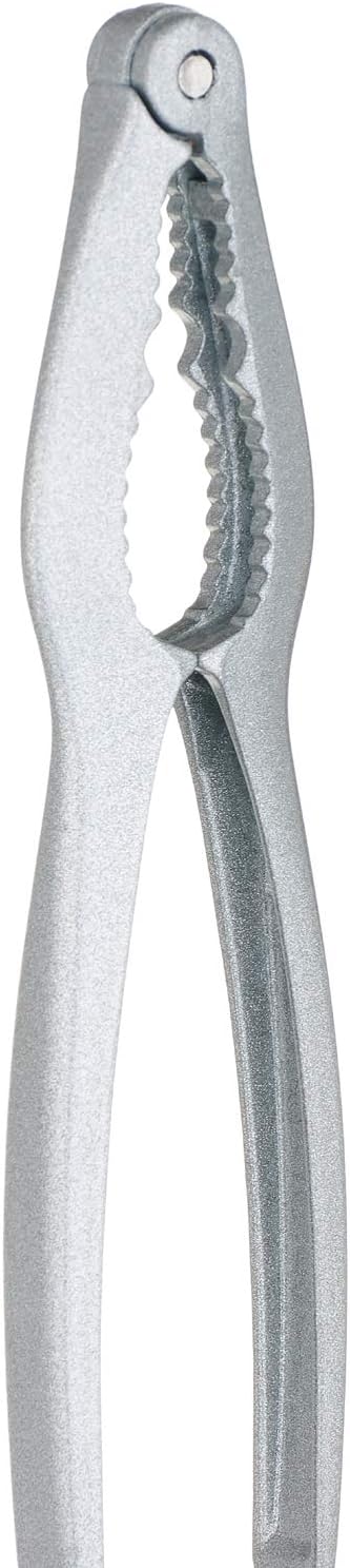 سعر ومواصفات كسارة بندق من الفولاذ المقاوم للصدأ من هيسار - فضي (B091Q69N74) على Amazon EG