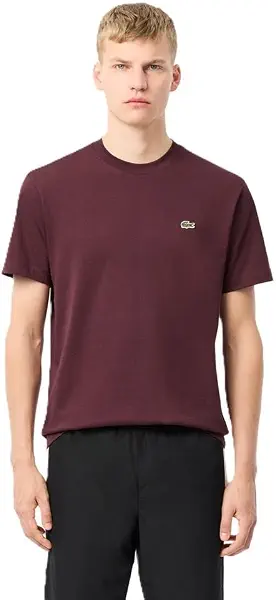 سعر ومواصفات لاكوست Lacoste Mens Classic Fit Cotton Jersey T-shirt classic (pack of 1) (B0D91VLZ82) على Amazon EG