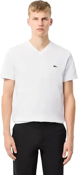 سعر ومواصفات لاكوست Lacoste Mens Regular Fit Cotton Jersey V-Neck T-Shirt classic (pack of 1) (B0D91VJSHY) على Amazon EG