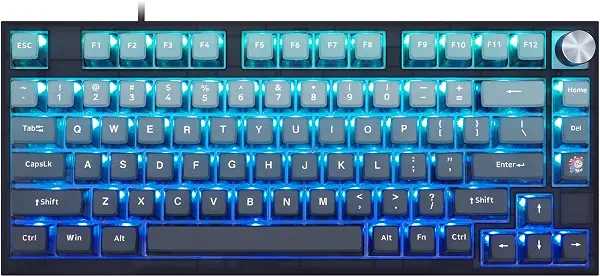 سعر ومواصفات لوحة مفاتيح ميكانيكية للألعاب GK75 بإضاءة ملونة RGB مع أغطية مفاتيح بودينج جانبية شفافة وكابل USB-C، مفاتيح جاتيرون بصرية حمراء قابلة للتبديل السريع لنظام التشغيل ويندوز/ماك OS (B0CBC81JG8) على Amazon EG
