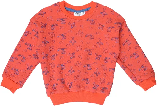 سعر ومواصفات لوفلي لاند lovely land Baby Boys Padded Sweat Shirt Baby and Toddler T-Shirt Set (pack of 1) (B0CHRF15MM) على Amazon EG