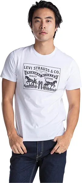 سعر ومواصفات ليفايس Levi's Men's 2HORSE GRAPHIC TEE T-Shirt (pack of 1) (B08825SMS2) على Amazon EG