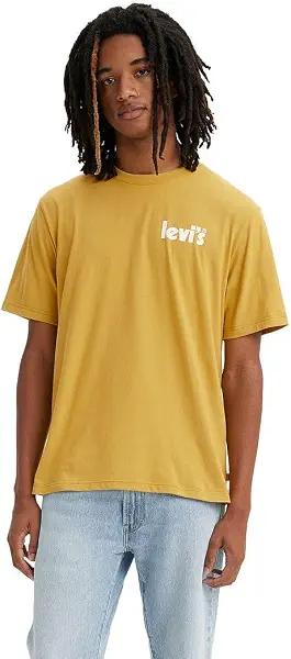 سعر ومواصفات ليفايس Levi's Mens Relaxed Fit Short Sleeve Graphic Graphic Tees (pack of 1) (B0BVMRLSLY) على Amazon EG