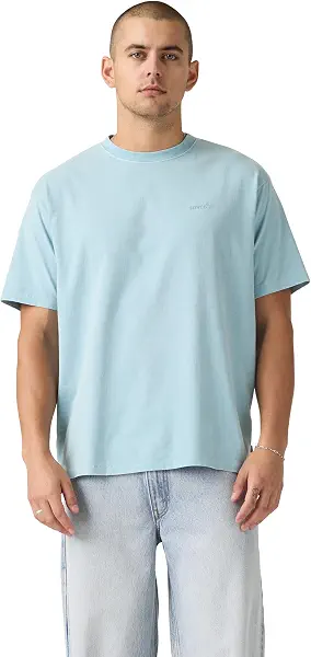 سعر ومواصفات ليفايس® تي شيرت ريد تاب فينتاج للرجال (B0GCHNVNGN) على Amazon EG