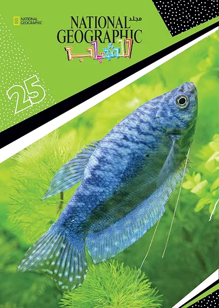سعر ومواصفات مجلد ناشيونال رقم25 من جيوغرافيك (B018AUDX5U) على Amazon EG