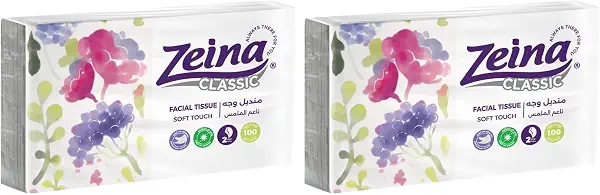 سعر ومواصفات مجموعة زينة مكونة من 5 أكياس، 100 منديل، متعددة الألوان (مجموعة من قطعتين) (B0FL9XH533) على Amazon EG