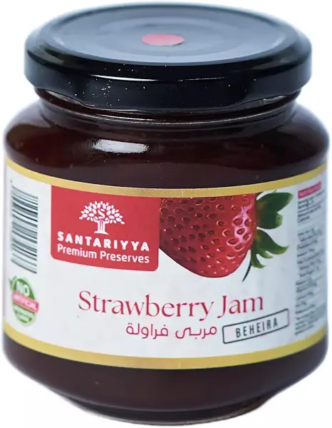 سعر ومواصفات مربى الفراولة من سانتاريا، 240 جرام (B0H6GQM78H) على Amazon EG