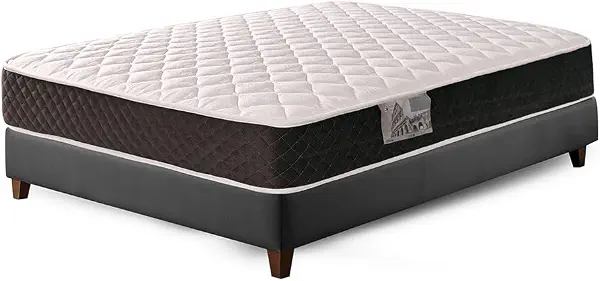 سعر ومواصفات مرتبة روما الزنبركية من فاميلي بيد - 180×200×20 سم (B0D338MH47) على Amazon EG