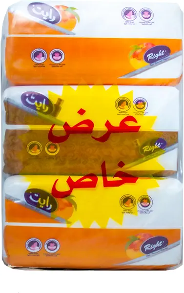 سعر ومواصفات مناديل من رايت، 550 منديل، عبوة من 3 قطع (B0CVJH1DKK) على Amazon EG