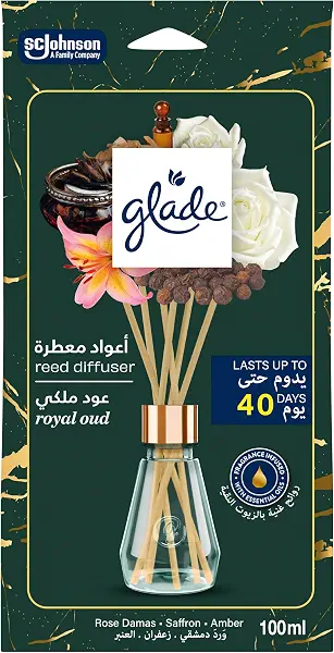 سعر ومواصفات ناشر العطور من جليد بسعة 100 مل، يدوم 40 يومًا بدون كهرباء ومعزز بالزيوت الأساسية، أخضر (B0GQXCWQZ3) على Amazon EG