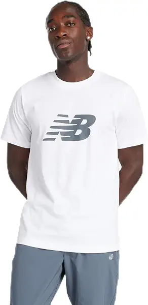 سعر ومواصفات نيو بالانس New Balance mens Graphic V Flying NB Brand T-Shirt Classic (pack of 1) (B0D3XXGH9R) على Amazon EG