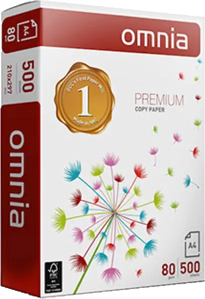 سعر ومواصفات ورق طباعة امنية - 80 جرام - 500 ورقة (B01G99VAJ0) على Amazon EG